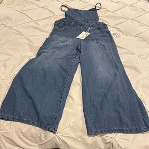 Kenzie Denim Overalls in Easy Breezy Denim